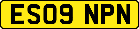 ES09NPN
