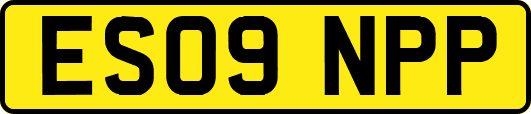 ES09NPP