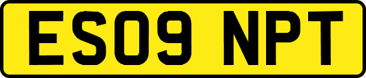 ES09NPT