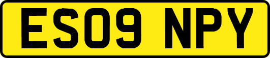 ES09NPY