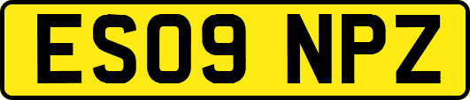 ES09NPZ