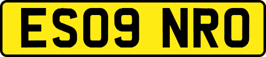 ES09NRO