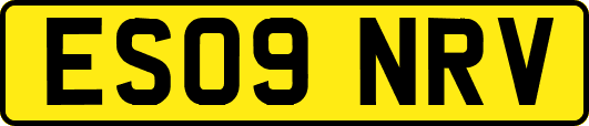 ES09NRV