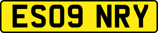 ES09NRY