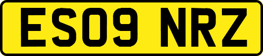 ES09NRZ