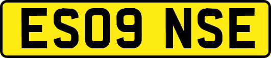 ES09NSE