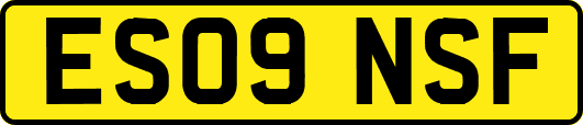 ES09NSF