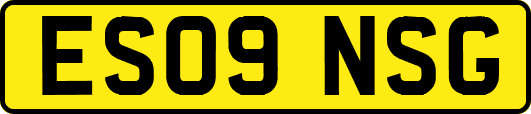 ES09NSG