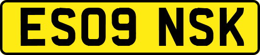 ES09NSK