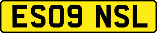 ES09NSL