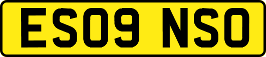 ES09NSO