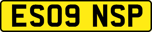 ES09NSP