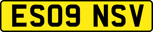 ES09NSV