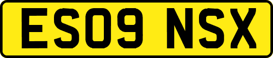 ES09NSX