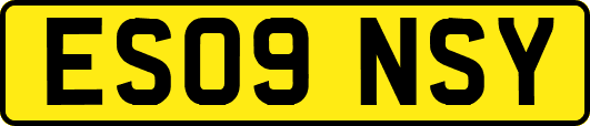 ES09NSY