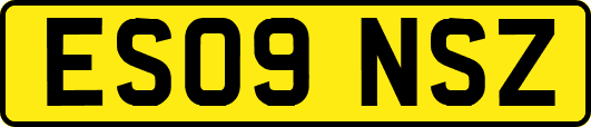 ES09NSZ