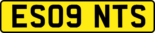 ES09NTS