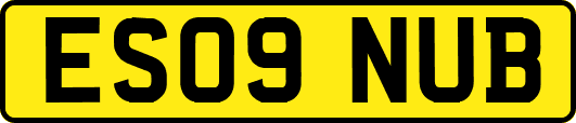 ES09NUB