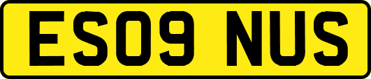 ES09NUS