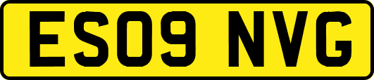 ES09NVG