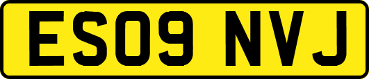 ES09NVJ