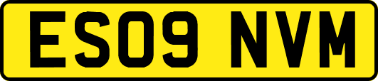 ES09NVM