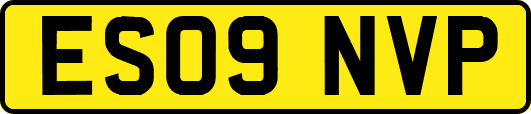 ES09NVP