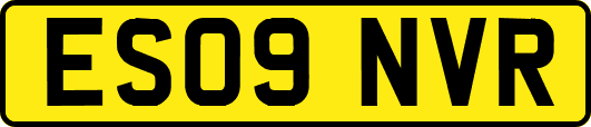 ES09NVR