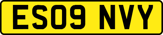 ES09NVY