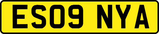 ES09NYA