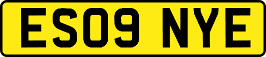 ES09NYE