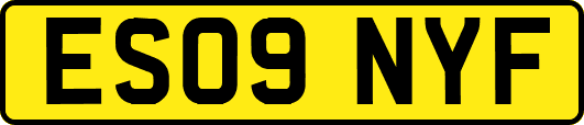 ES09NYF