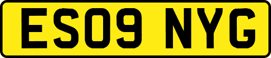 ES09NYG