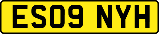 ES09NYH