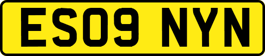 ES09NYN