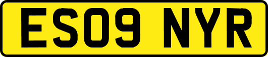 ES09NYR