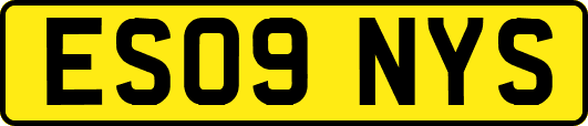 ES09NYS