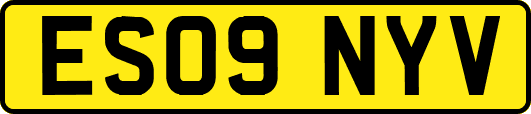ES09NYV