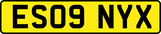 ES09NYX