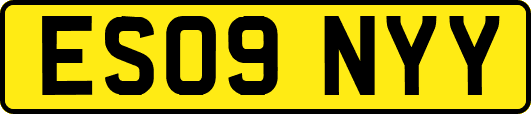 ES09NYY