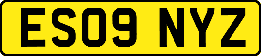 ES09NYZ