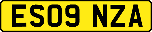ES09NZA