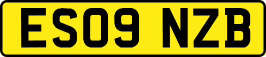ES09NZB