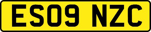 ES09NZC