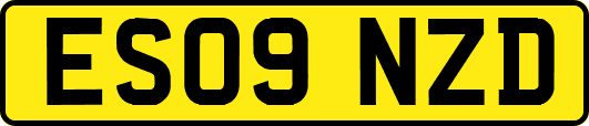 ES09NZD