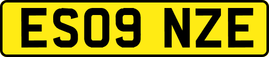 ES09NZE