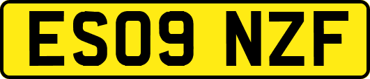 ES09NZF