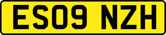 ES09NZH