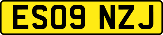 ES09NZJ