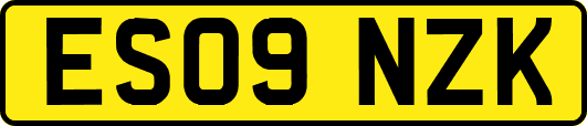 ES09NZK